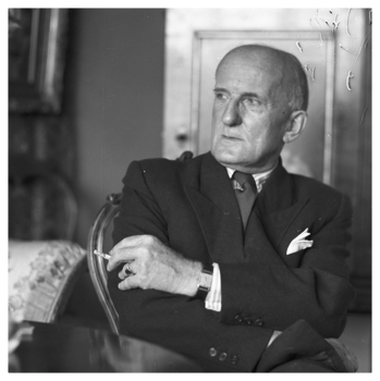 Fotograf: Hickstein, Carmen, Copyright: 1