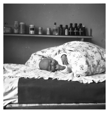 Fotograf: Hickstein, Carmen, Copyright: 1