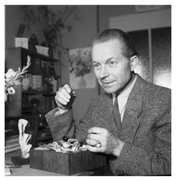 Fotograf: Hickstein, Carmen, Copyright: 1