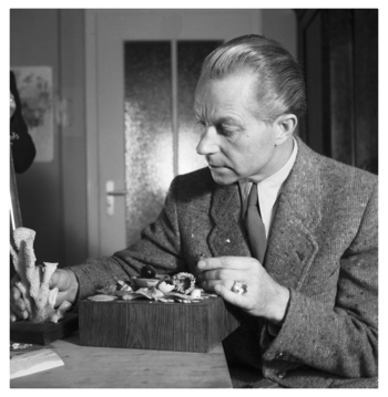 Fotograf: Hickstein, Carmen, Copyright: 1