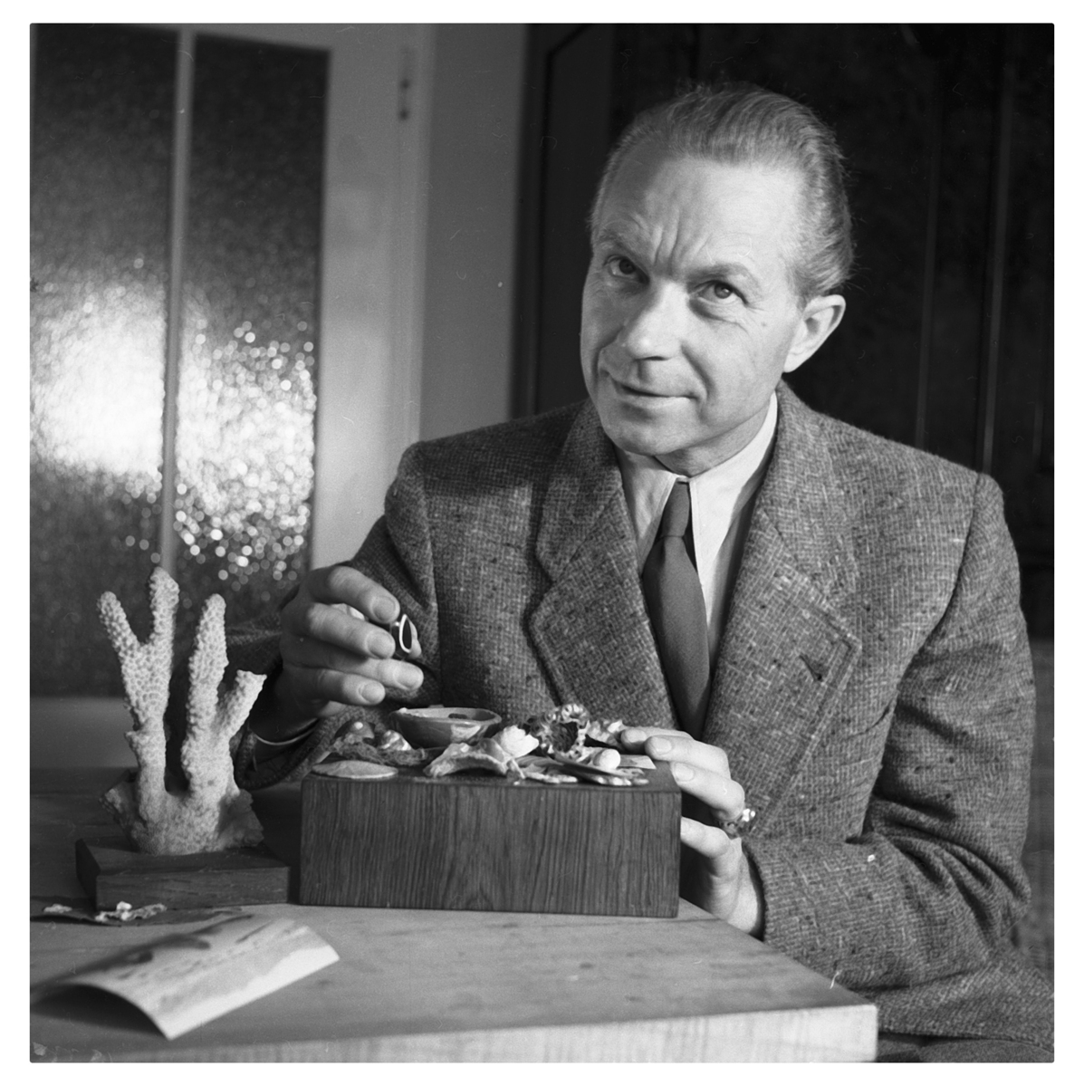 Fotograf: Hickstein, Carmen, Copyright: 1