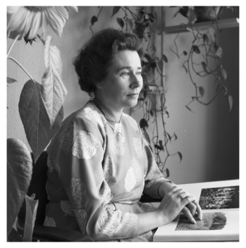 Fotograf: Hickstein, Carmen, Copyright: 1