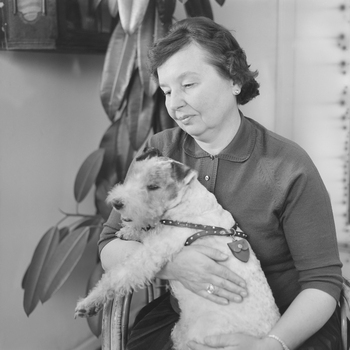 Fotograf: Neander, Hanna, Copyright: 1