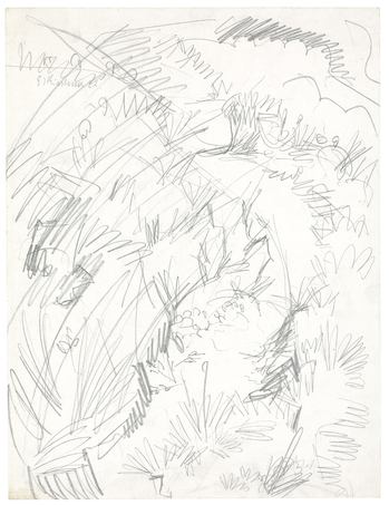 Fotograf: Ahlbrand-Dornseif, Sabine, Copyright: 1