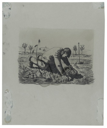 Fotograf: Ahlbrand-Dornseif, Sabine, Copyright: 1