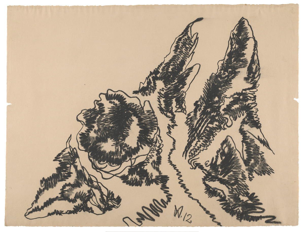 Fotograf: Ahlbrand-Dornseif, Sabine, Copyright: 1