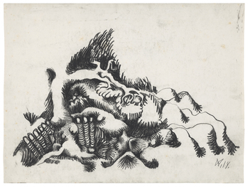 Fotograf: Ahlbrand-Dornseif, Sabine, Copyright: 1