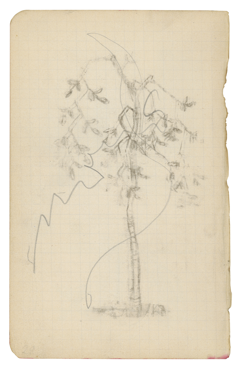 Fotograf: unbekannt, Copyright: 1