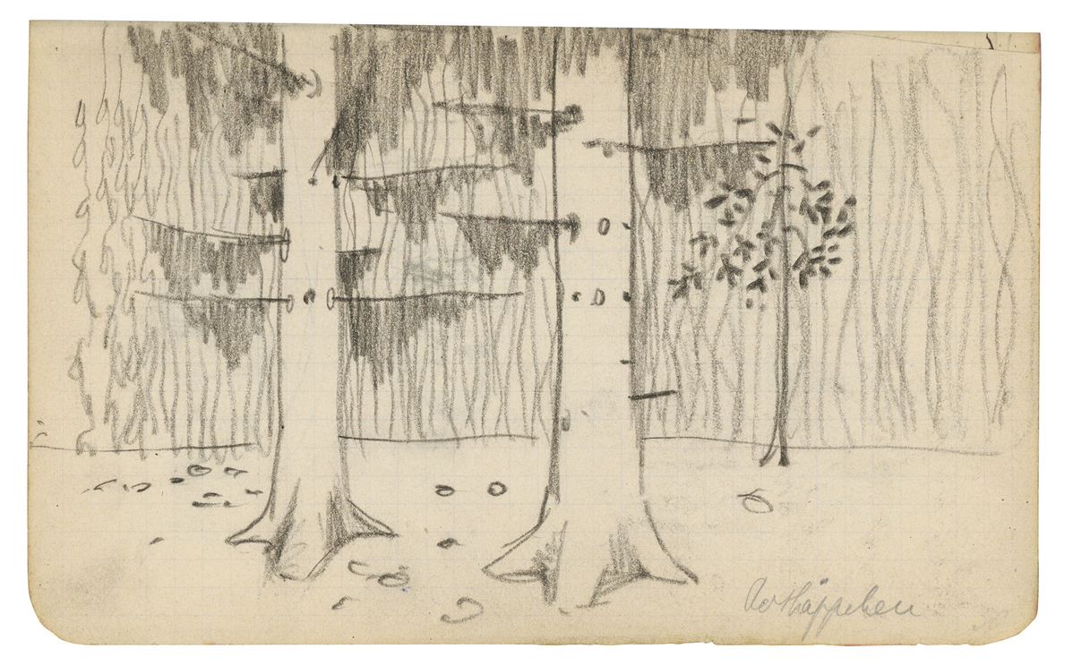 Fotograf: unbekannt, Copyright: 1