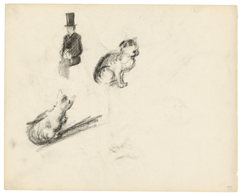 Fotograf: unbekannt, Copyright: 1