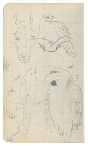 Fotograf: unbekannt, Copyright: 1