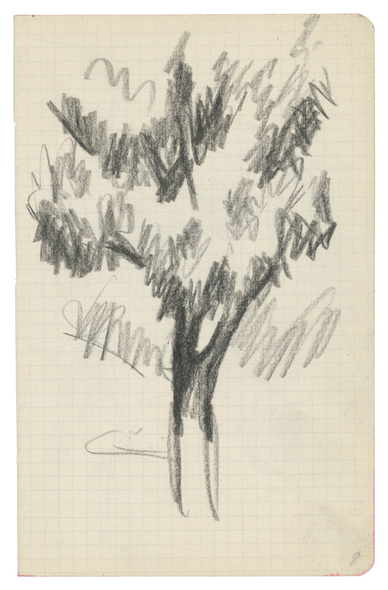 Fotograf: unbekannt, Copyright: 1