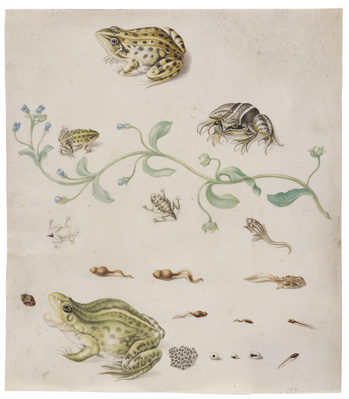 Fotograf: Neander, Hanna, Copyright: 1