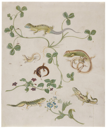 Fotograf: Neander, Hanna, Copyright: 1