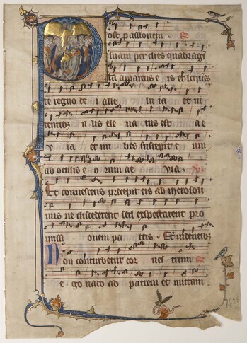 Fotograf: Ahlbrand-Dornseif, Sabine, Copyright: 1