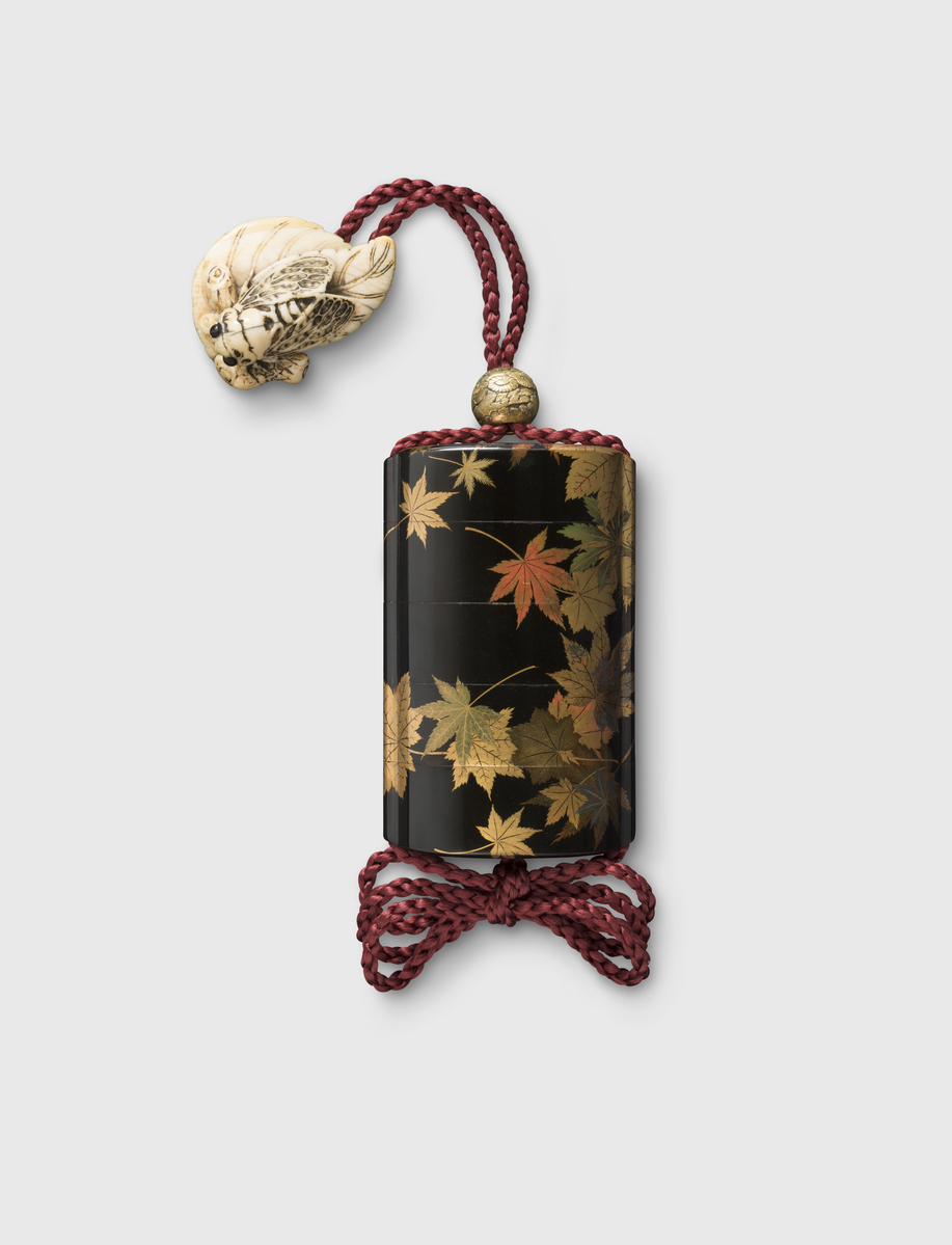 Fotograf: Samek, Tomasz, Copyright: 1