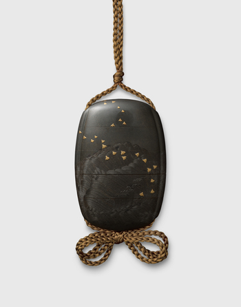 Fotograf: Samek, Tomasz, Copyright: 1