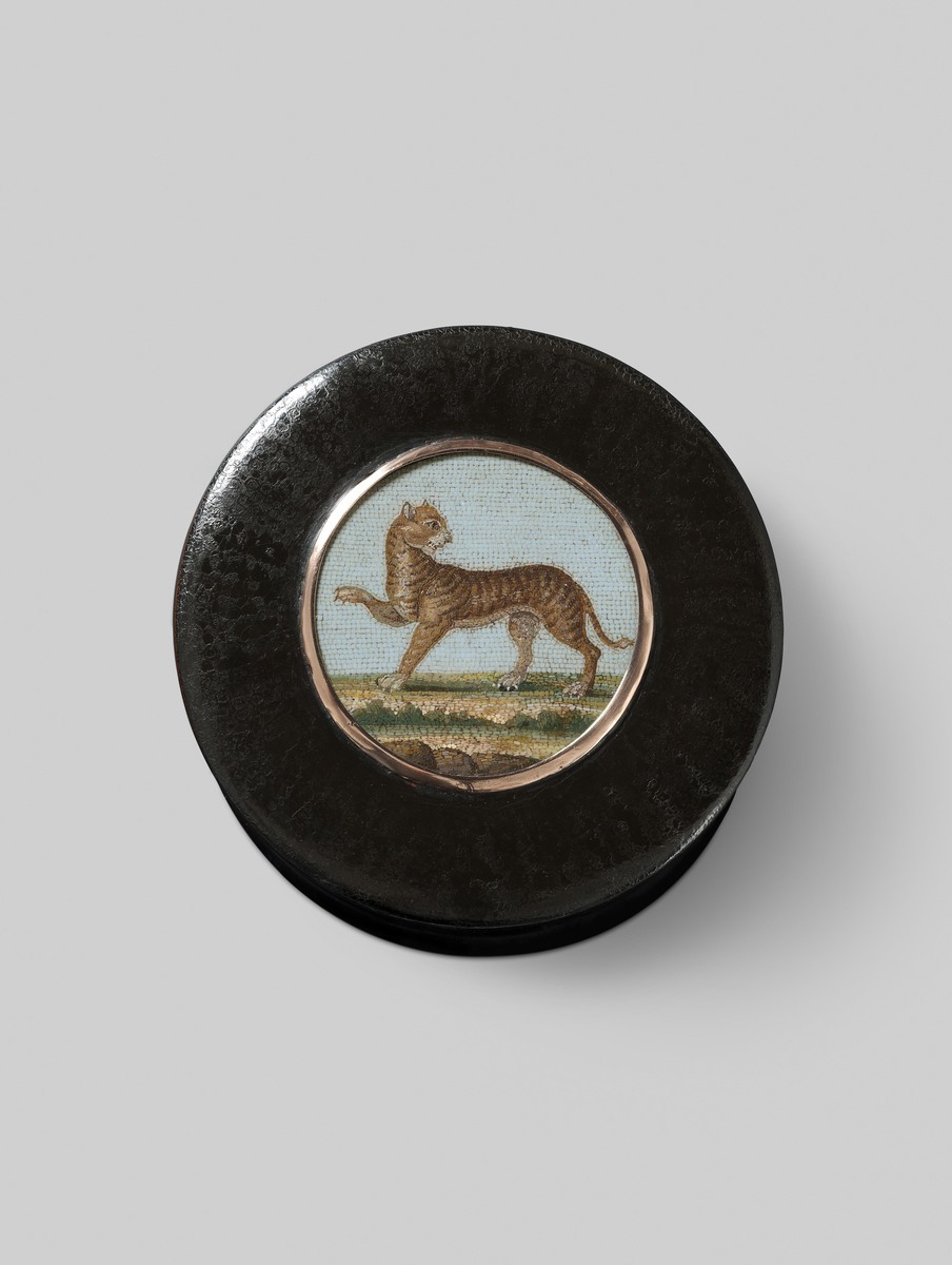 Fotograf: Samek, Tomasz, Copyright: 1