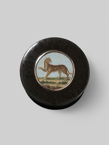 Fotograf: Samek, Tomasz, Copyright: 1