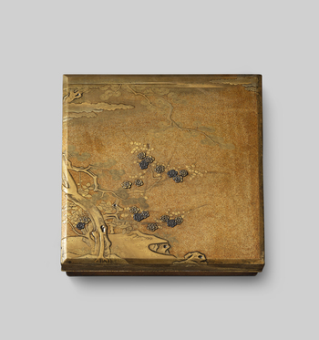 Fotograf: Samek, Tomasz, Copyright: 1