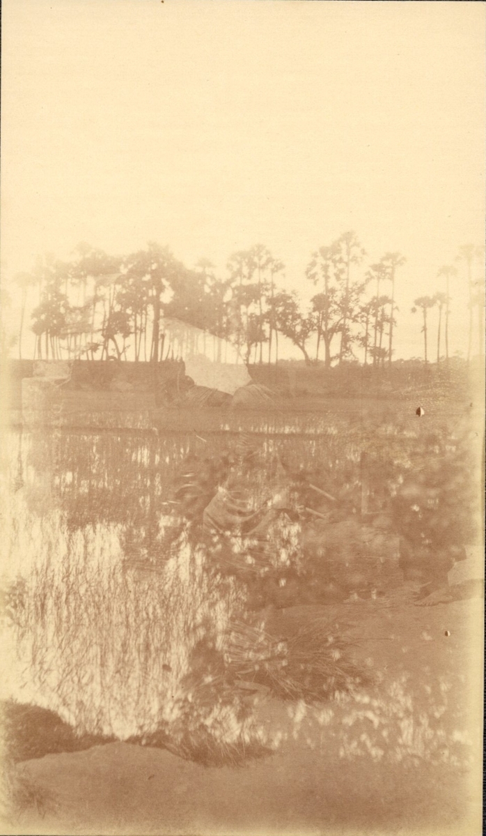 Fotograf: unbekannt, Copyright: 1