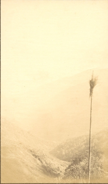 Fotograf: unbekannt, Copyright: 1