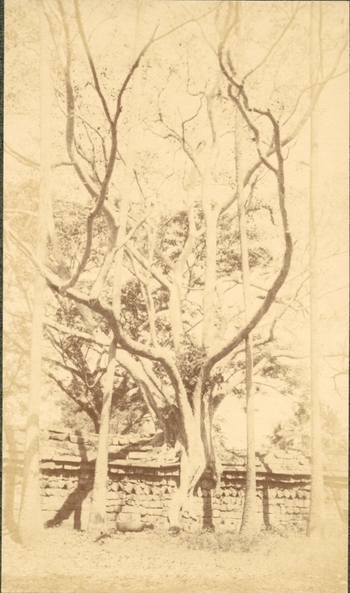 Fotograf: unbekannt, Copyright: 1