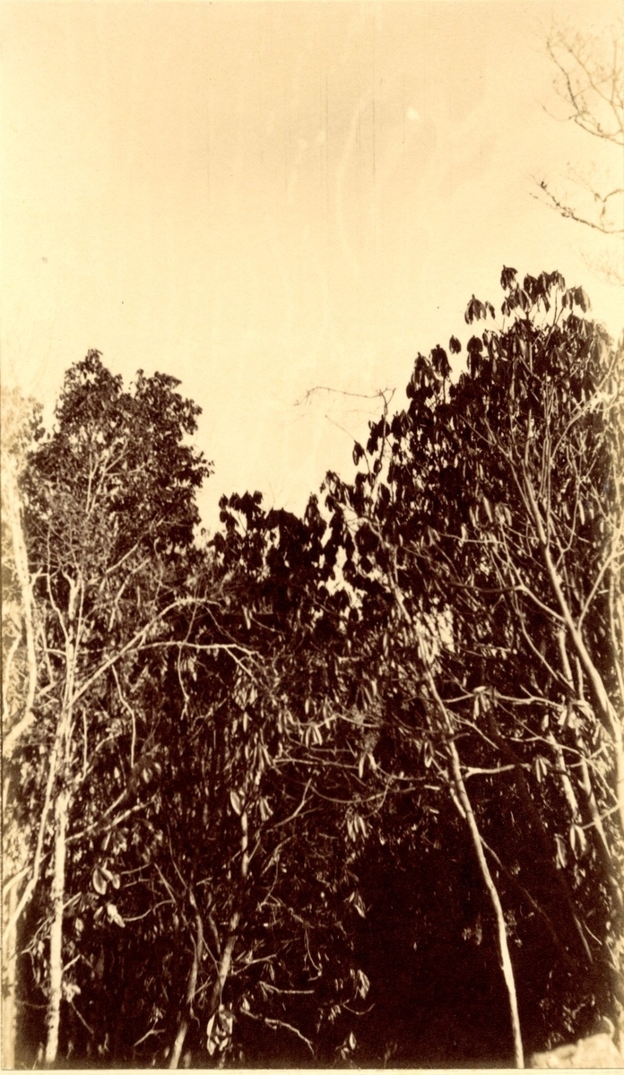 Fotograf: unbekannt, Copyright: 1