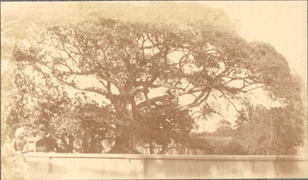 Fotograf: unbekannt, Copyright: 1