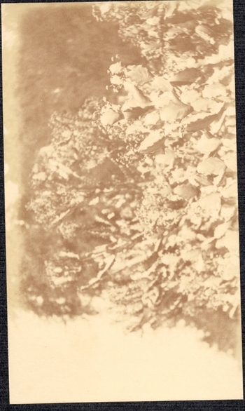 Fotograf: unbekannt, Copyright: 1