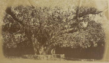 Fotograf: unbekannt, Copyright: 1