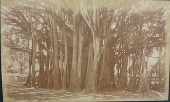 Fotograf: unbekannt, Copyright: 1