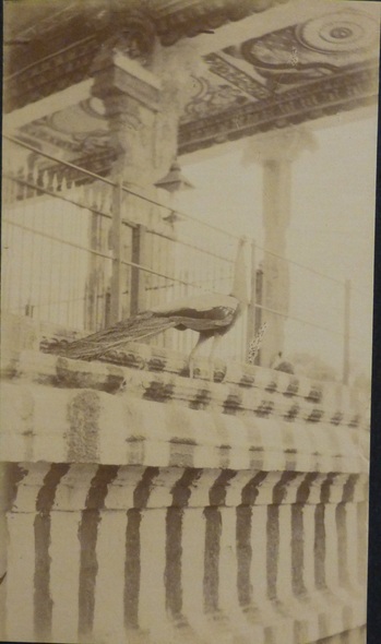 Fotograf: unbekannt, Copyright: 1