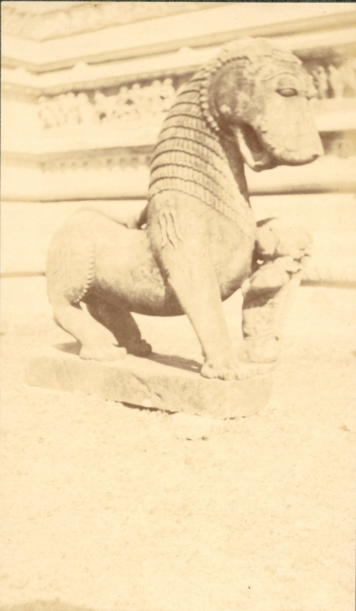 Fotograf: unbekannt, Copyright: 1