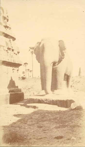 Fotograf: unbekannt, Copyright: 1