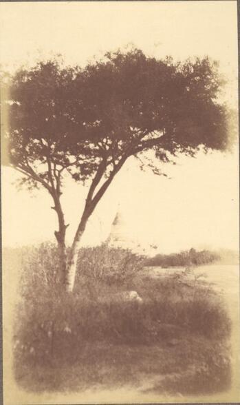 Fotograf: unbekannt, Copyright: 1