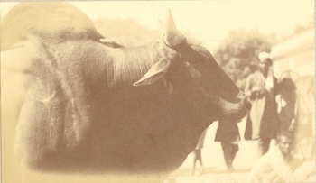 Fotograf: unbekannt, Copyright: 1