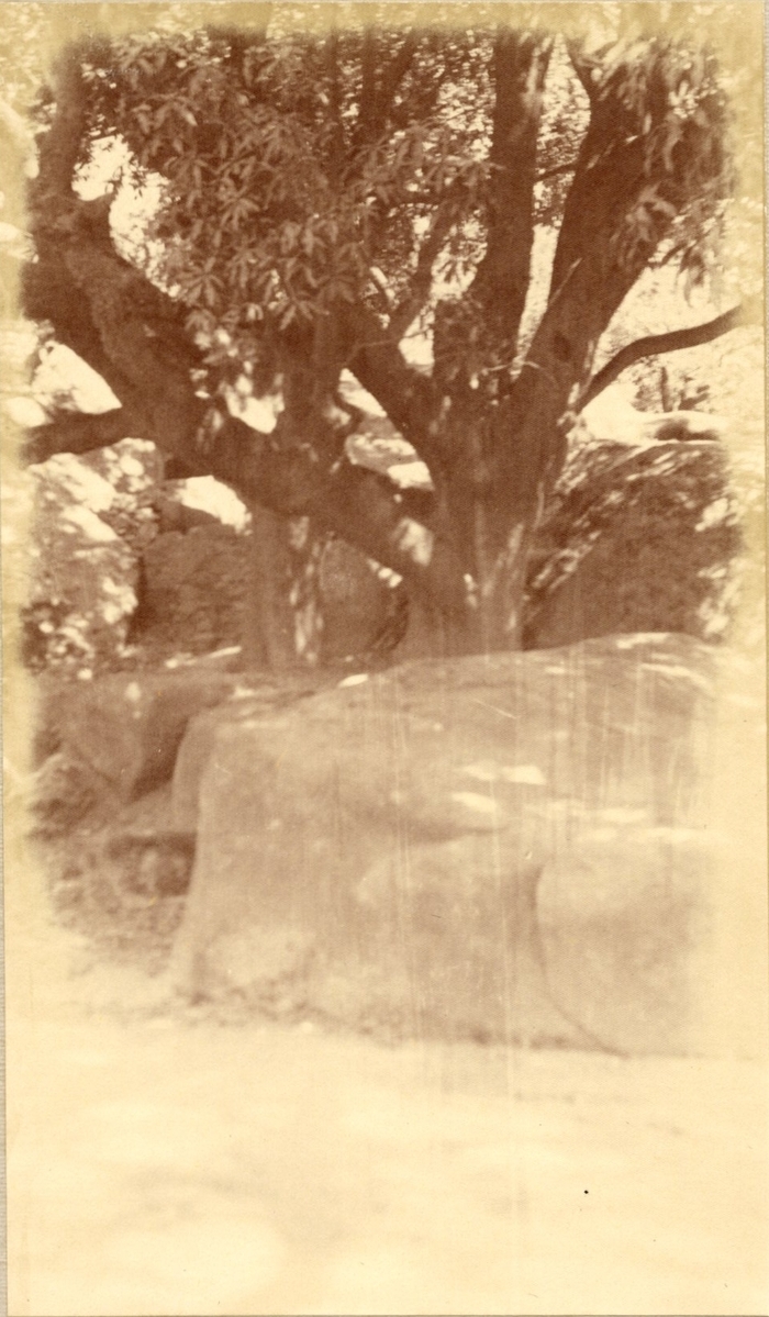 Fotograf: unbekannt, Copyright: 1