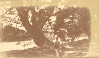 Fotograf: unbekannt, Copyright: 1