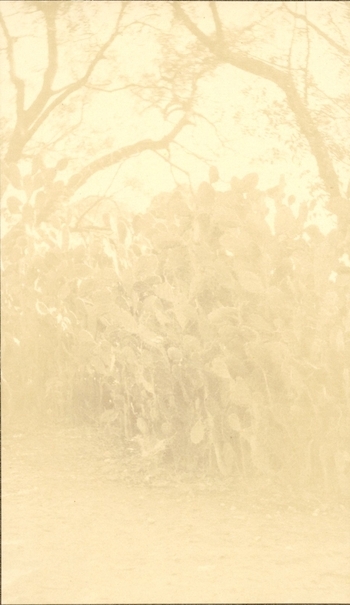 Fotograf: unbekannt, Copyright: 1