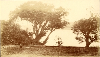 Fotograf: unbekannt, Copyright: 1