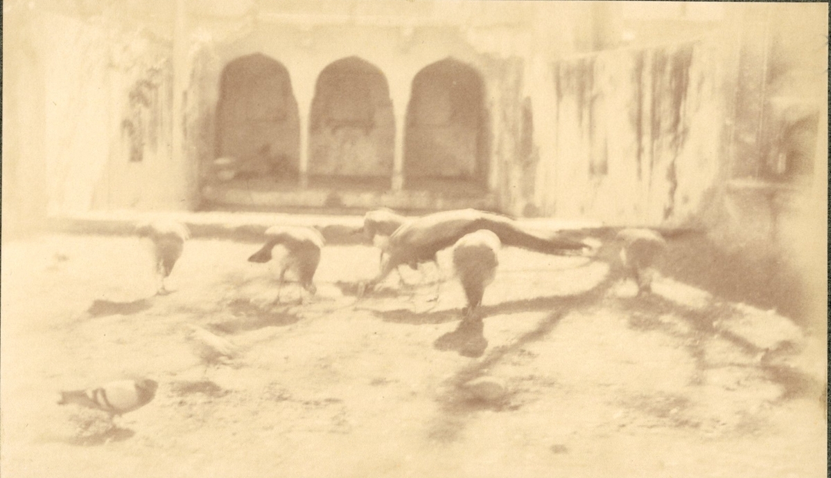 Fotograf: unbekannt, Copyright: 1