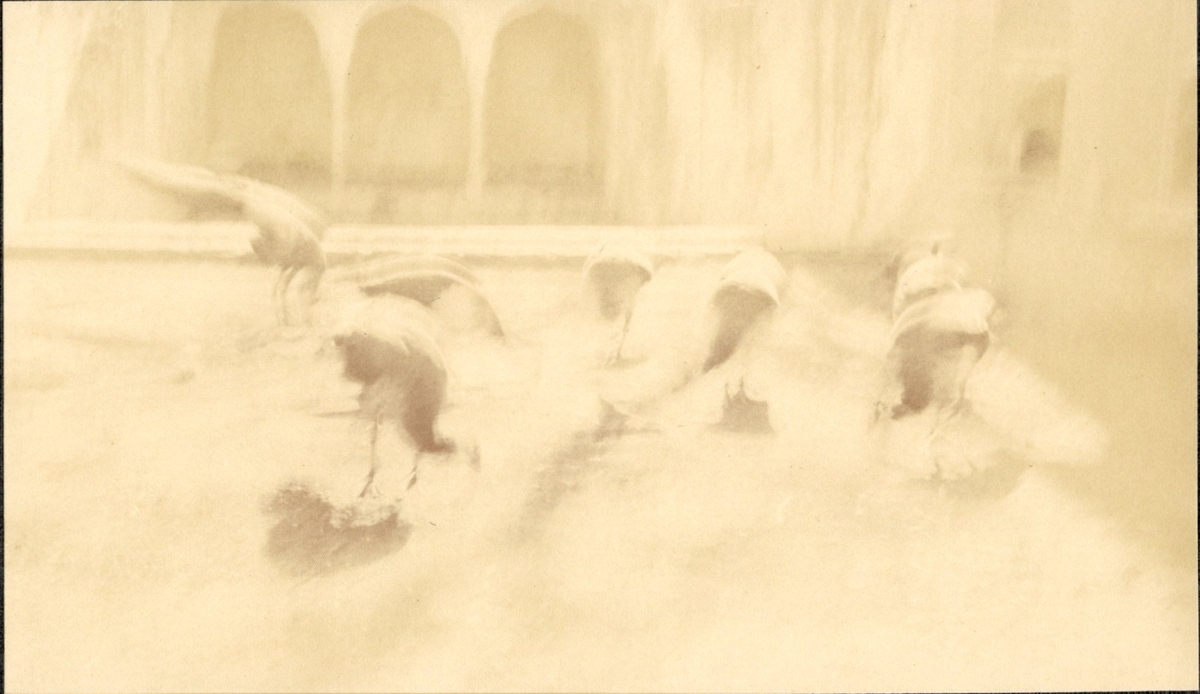 Fotograf: unbekannt, Copyright: 1