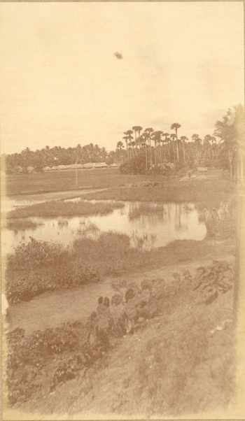 Fotograf: unbekannt, Copyright: 1