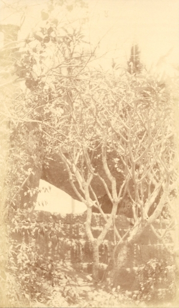 Fotograf: unbekannt, Copyright: 1