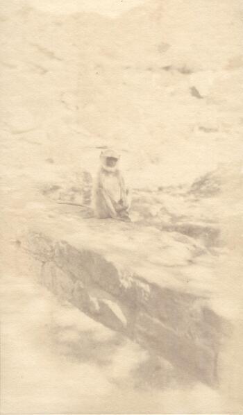 Fotograf: unbekannt, Copyright: 1