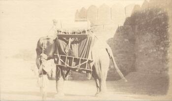 Fotograf: unbekannt, Copyright: 1