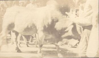 Fotograf: unbekannt, Copyright: 1