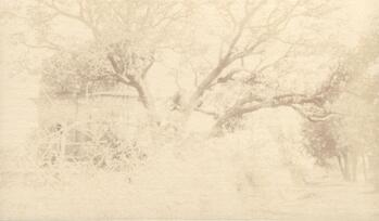 Fotograf: unbekannt, Copyright: 1