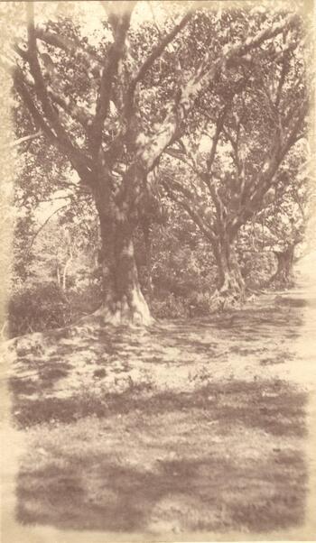 Fotograf: unbekannt, Copyright: 1